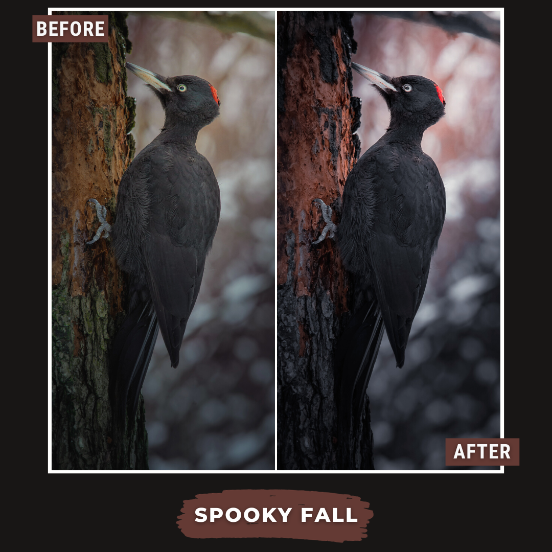 Spooky Bundle LIMITED 60 Lightroom Presets