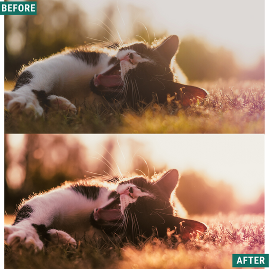 Rose Hour LIMITED Lightroom Presets Pack