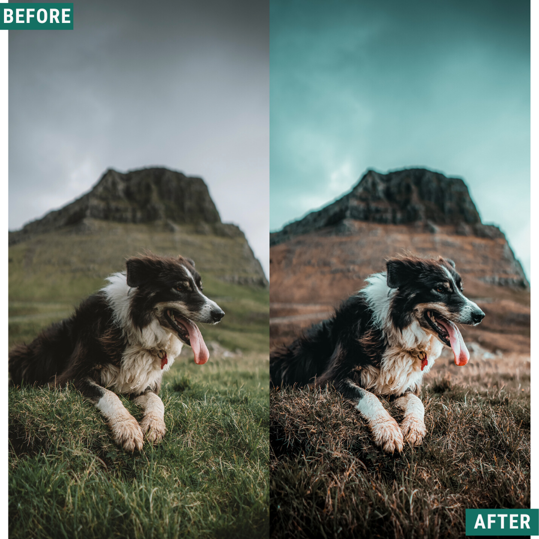 Teal Land Lightroom-Presets-Paket