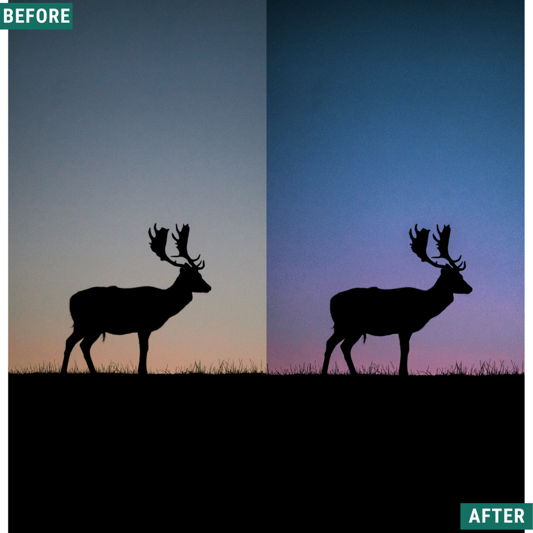 Blue Dusk LIMITED Lightroom Presets Pack