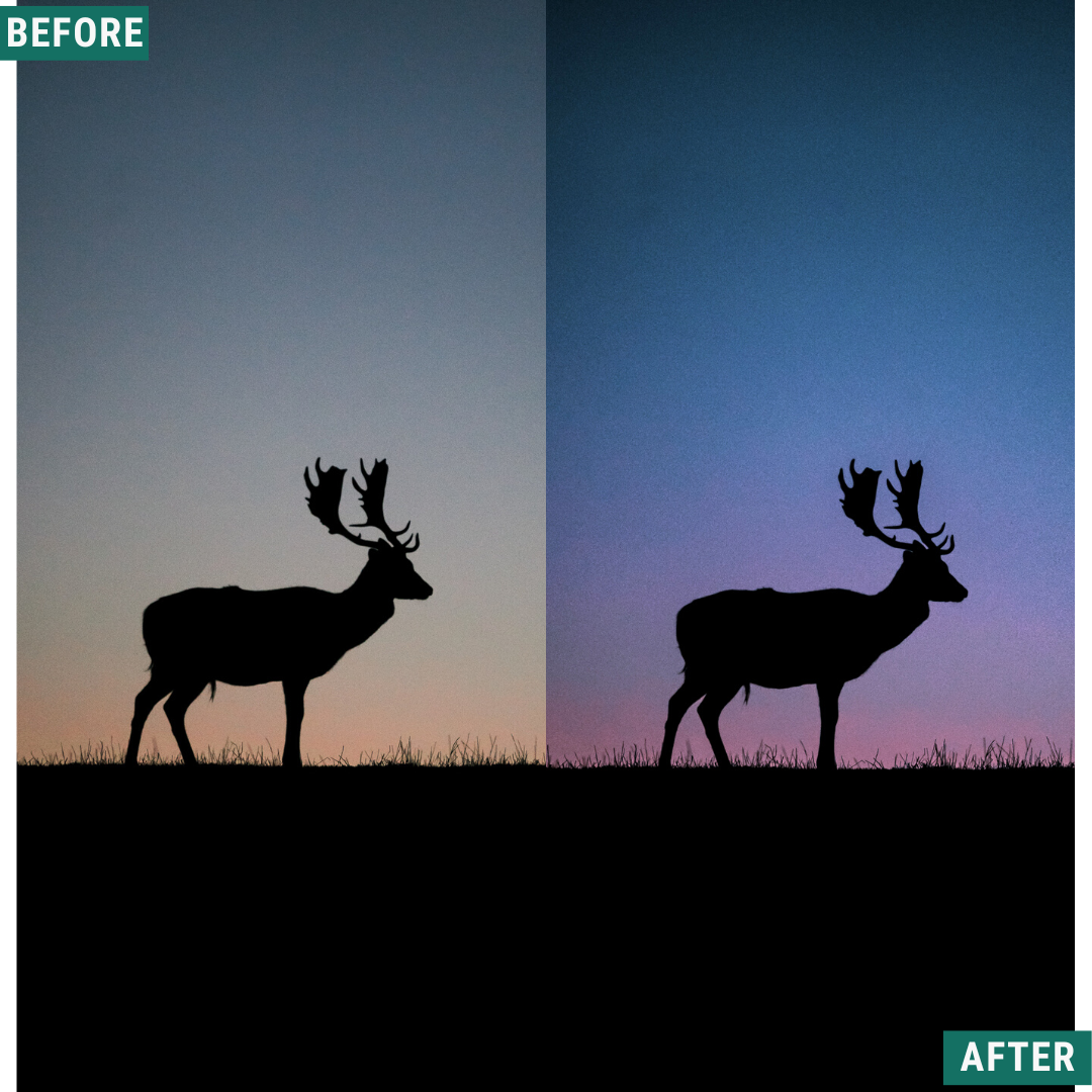 Blue Dusk Capture One & LUT Presets Pack