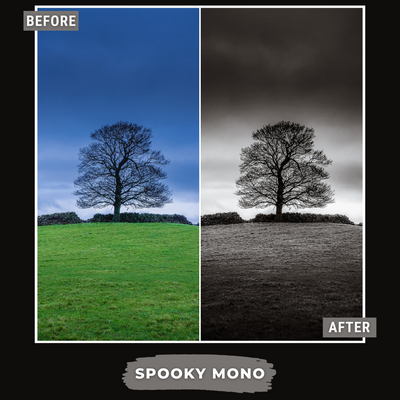 Spooky Bundle LIMITED 60 Lightroom Presets