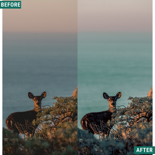 Cyan Dawn Lightroom Presets Pack