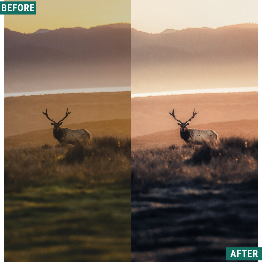 Gold Mood LIMITIERTES Lightroom-Preset-Paket