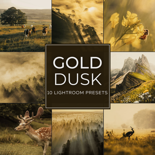 Gold Dusk Lightroom Presets Pack