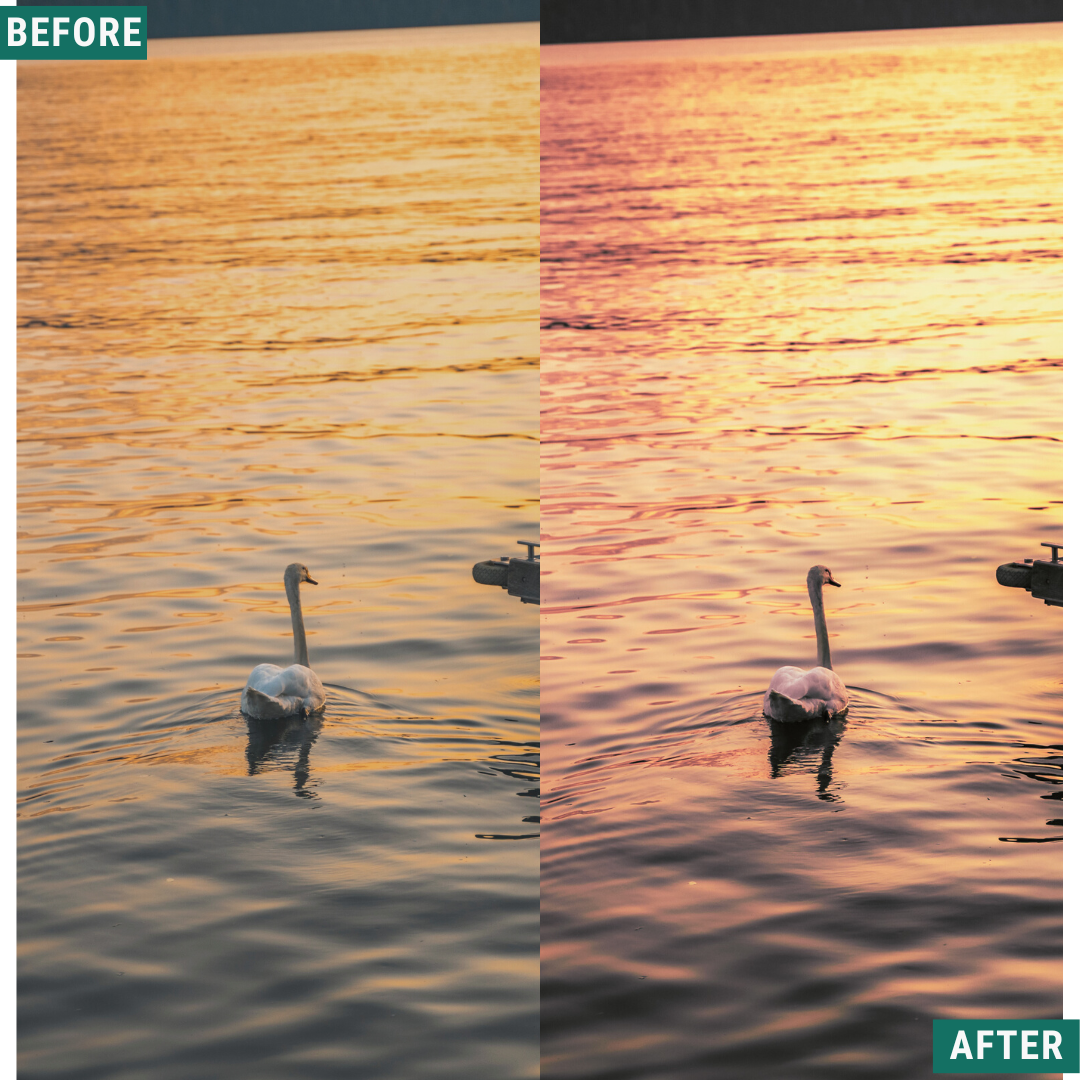 Rose Hour LIMITED Lightroom Presets Pack