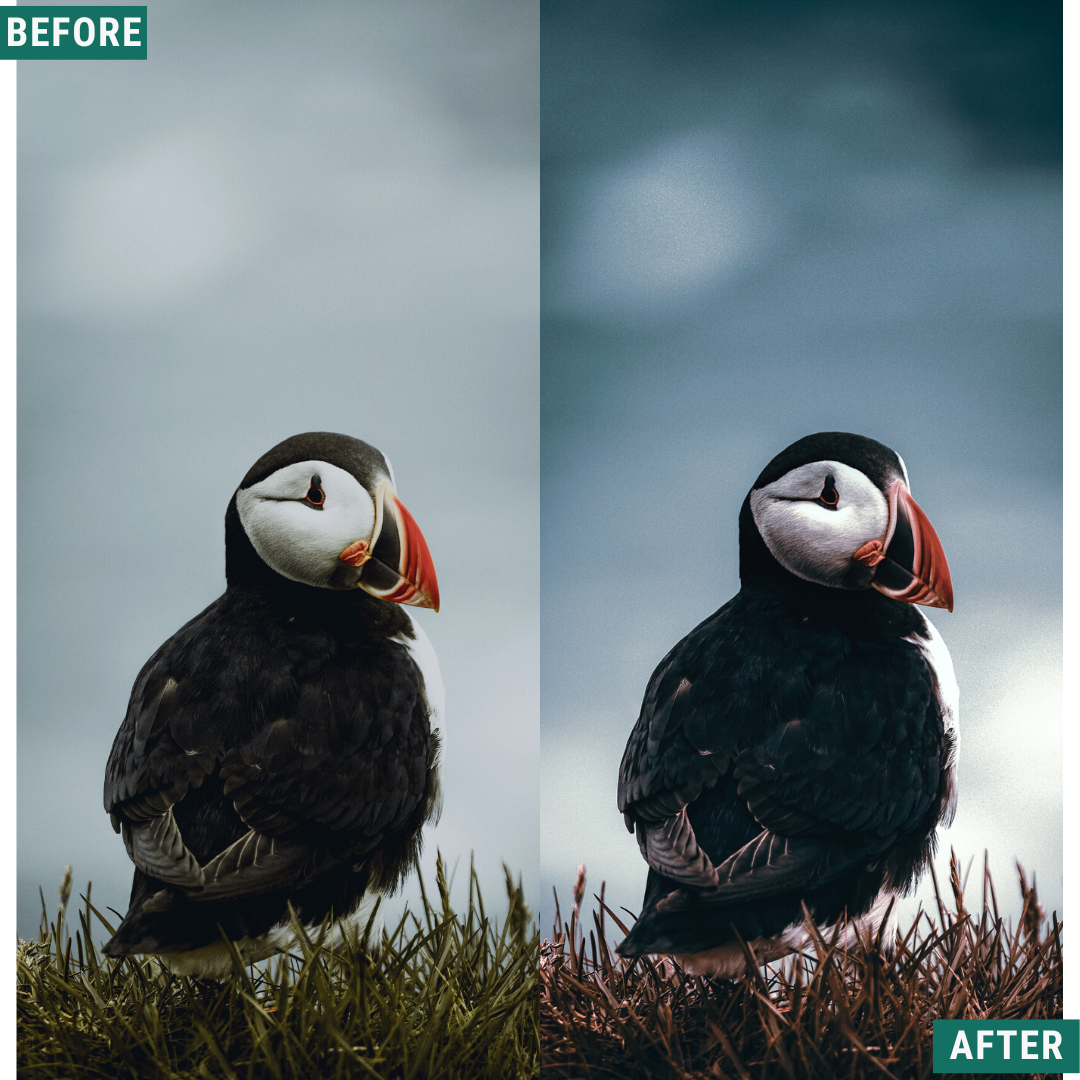 Rustic Dark Capture One & LUT Presets Pack
