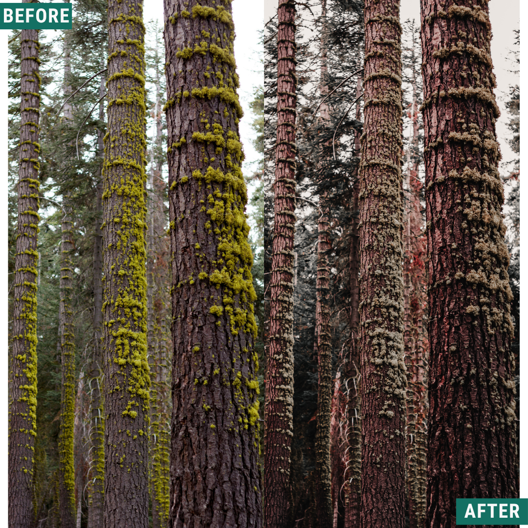 Muted Brown LIMITED Lightroom Presets Pack