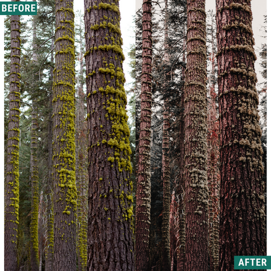 Muted Brown LIMITED Lightroom Presets Pack