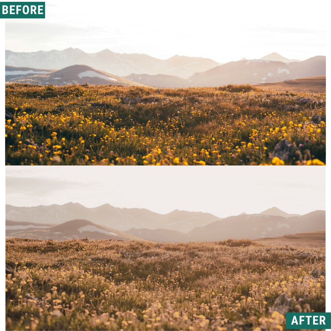Gold Fields Lightroom Presets Pack