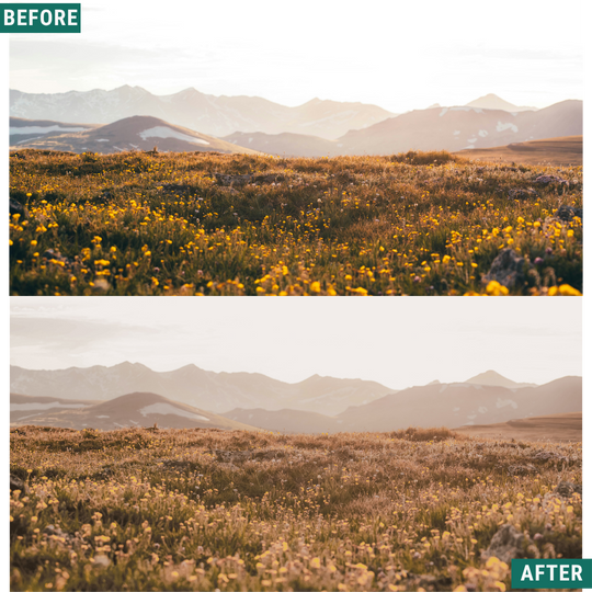 Gold Fields Lightroom Presets Pack