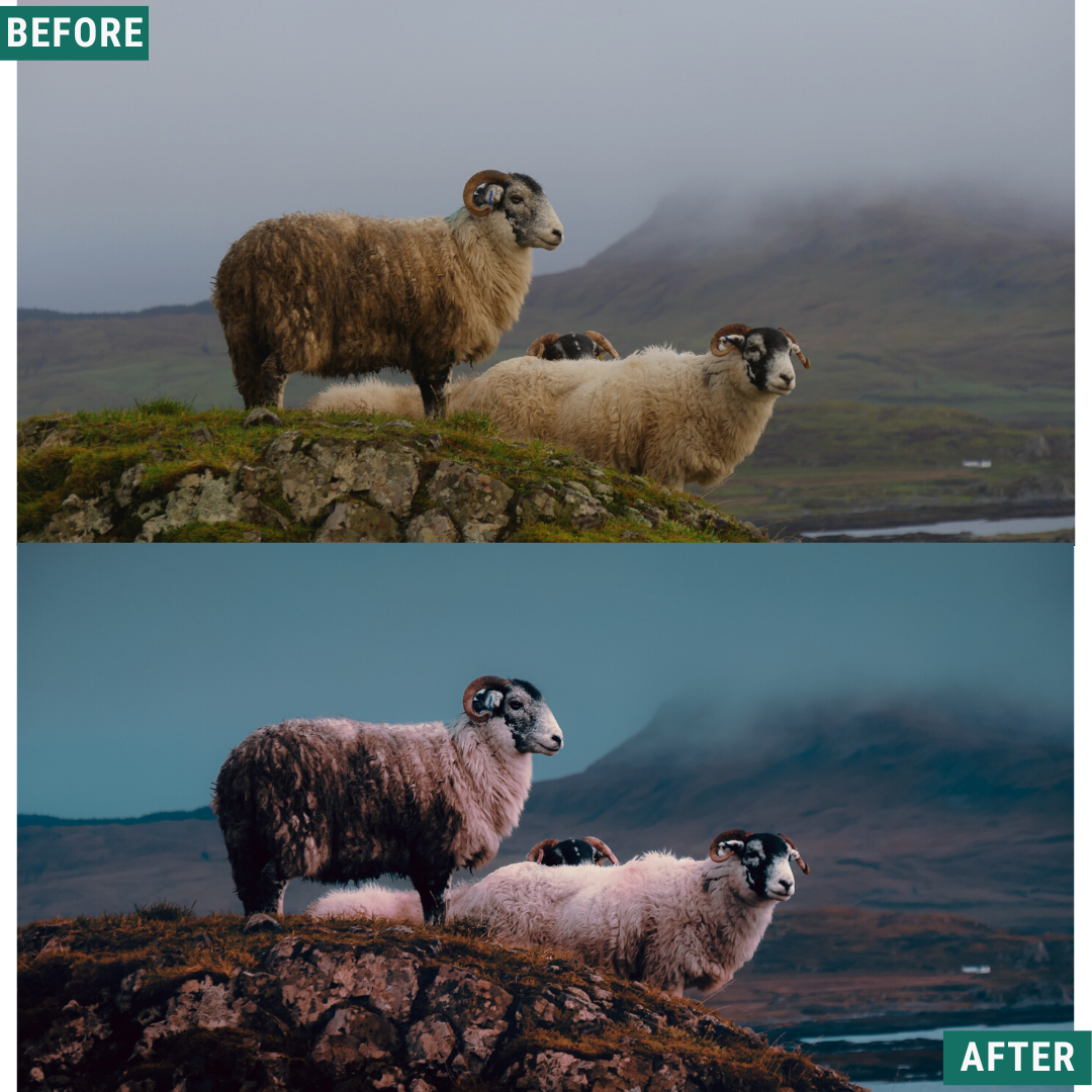 Rustic Dark Capture One & LUT Presets Pack