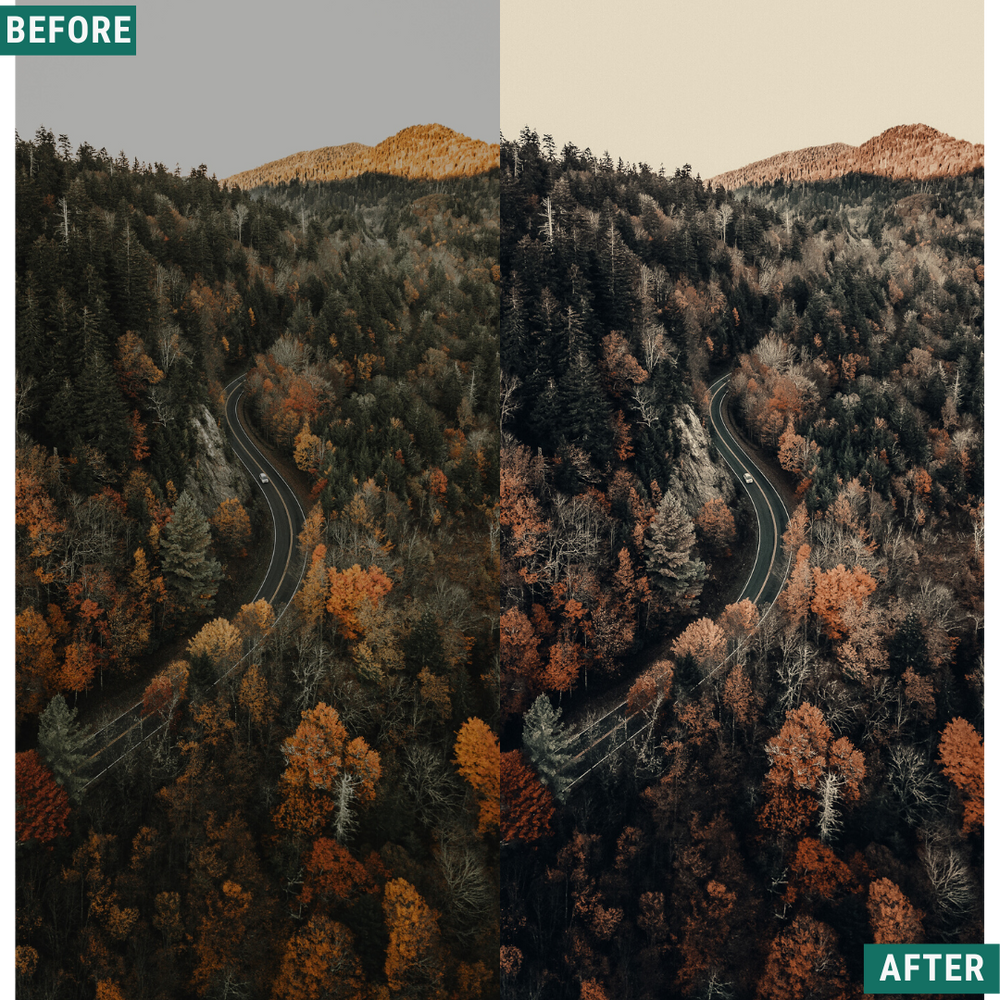 Moody Autumn Capture One & LUT Presets Pack