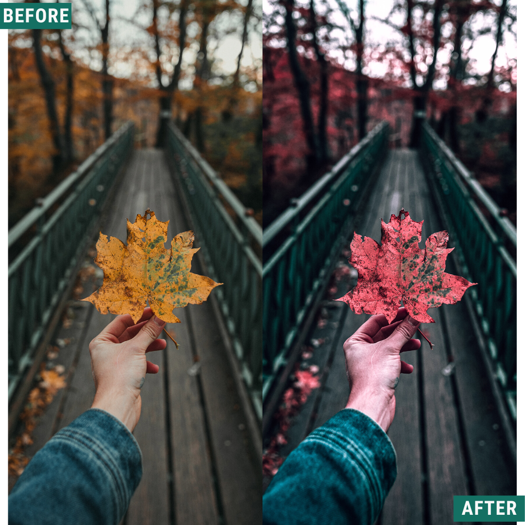 Red Tones LIMITED Lightroom Presets Pack