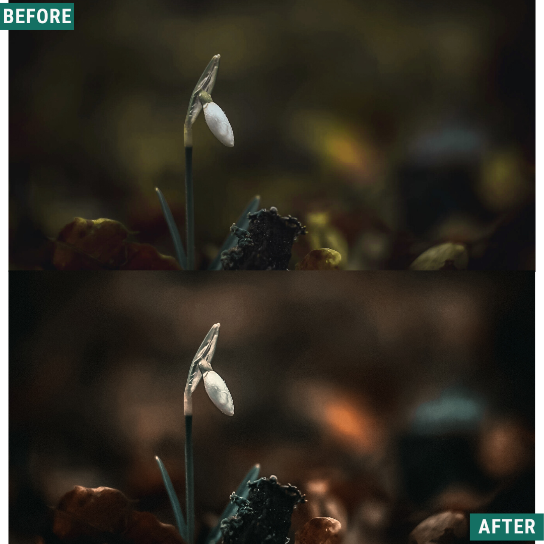 Moody Autumn Capture One & LUT Presets Pack