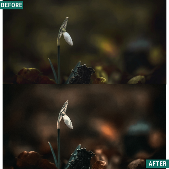 Moody Autumn Capture One & LUT Presets Pack