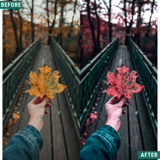Red Tones LIMITED Capture One & LUT Presets Pack