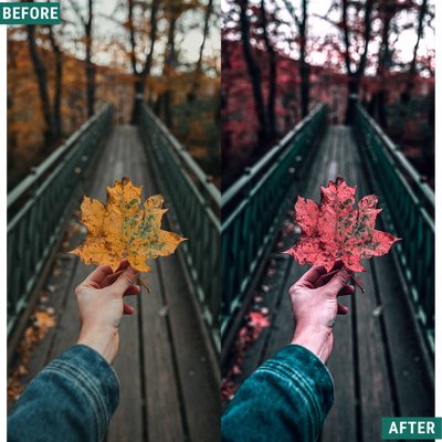 Red Tones LIMITED Capture One & LUT Presets Pack