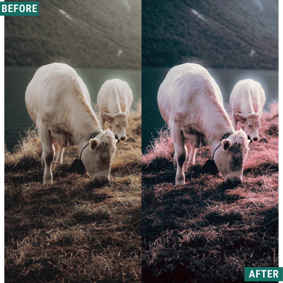 Rustic Dark Capture One & LUT Presets Pack