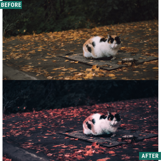 Red Tones LIMITED Capture One & LUT Presets Pack