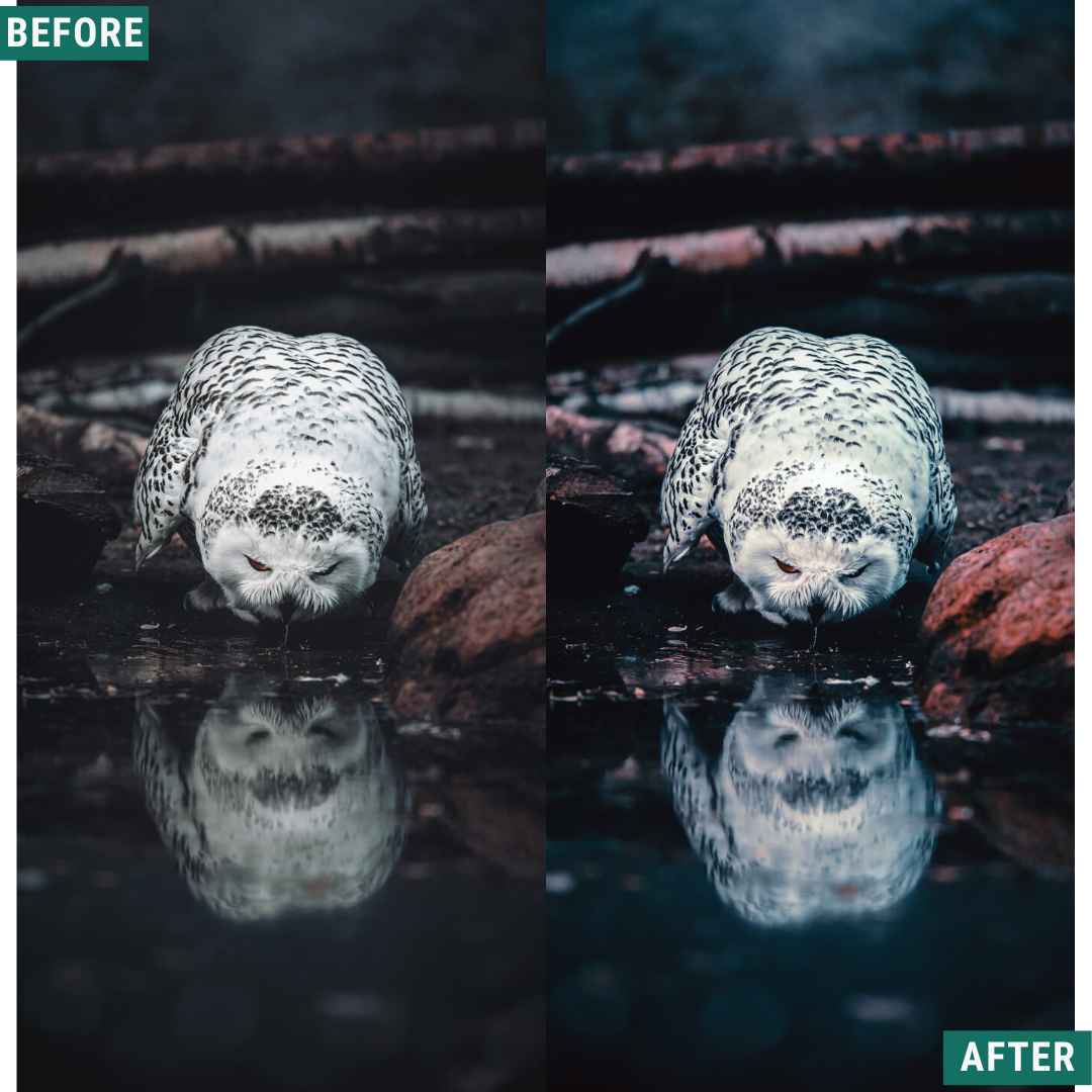 Rustic Dark Lightroom-Presets-Paket