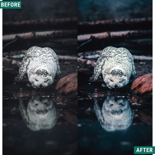 Rustic Dark Lightroom Presets Pack