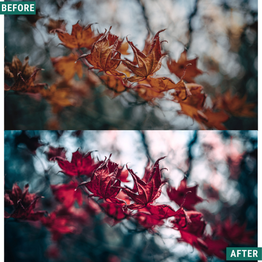 Red Tones LIMITED Lightroom Presets Pack