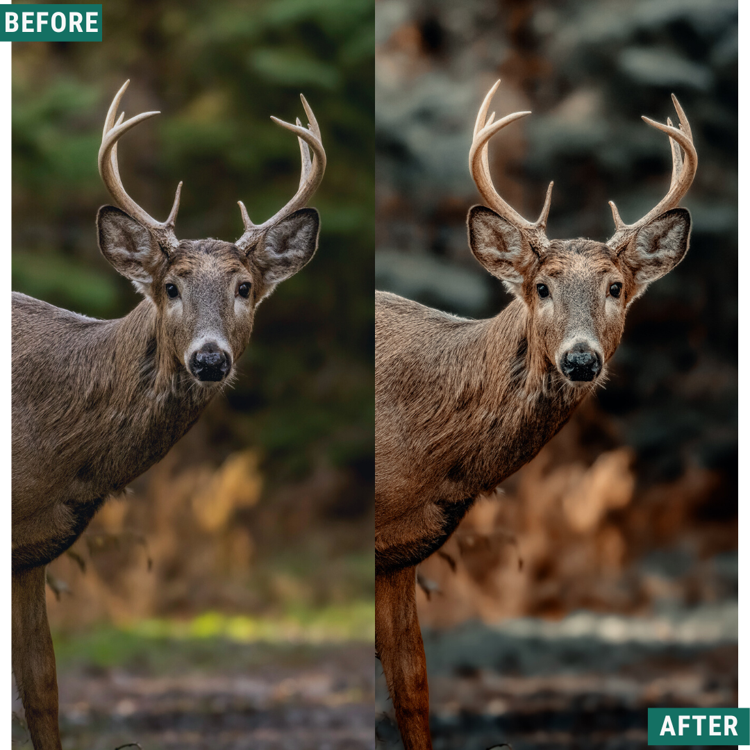 Moody Autumn Capture One & LUT Presets Pack