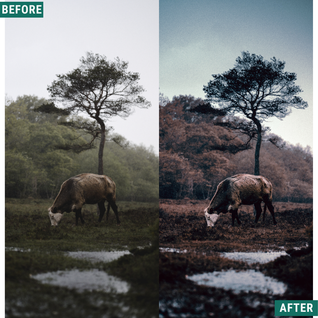 Rustic Dark Lightroom Presets Pack