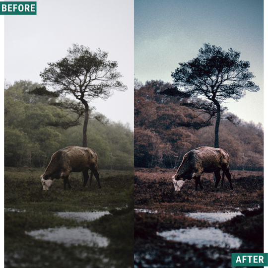 Rustic Dark Lightroom-Presets-Paket