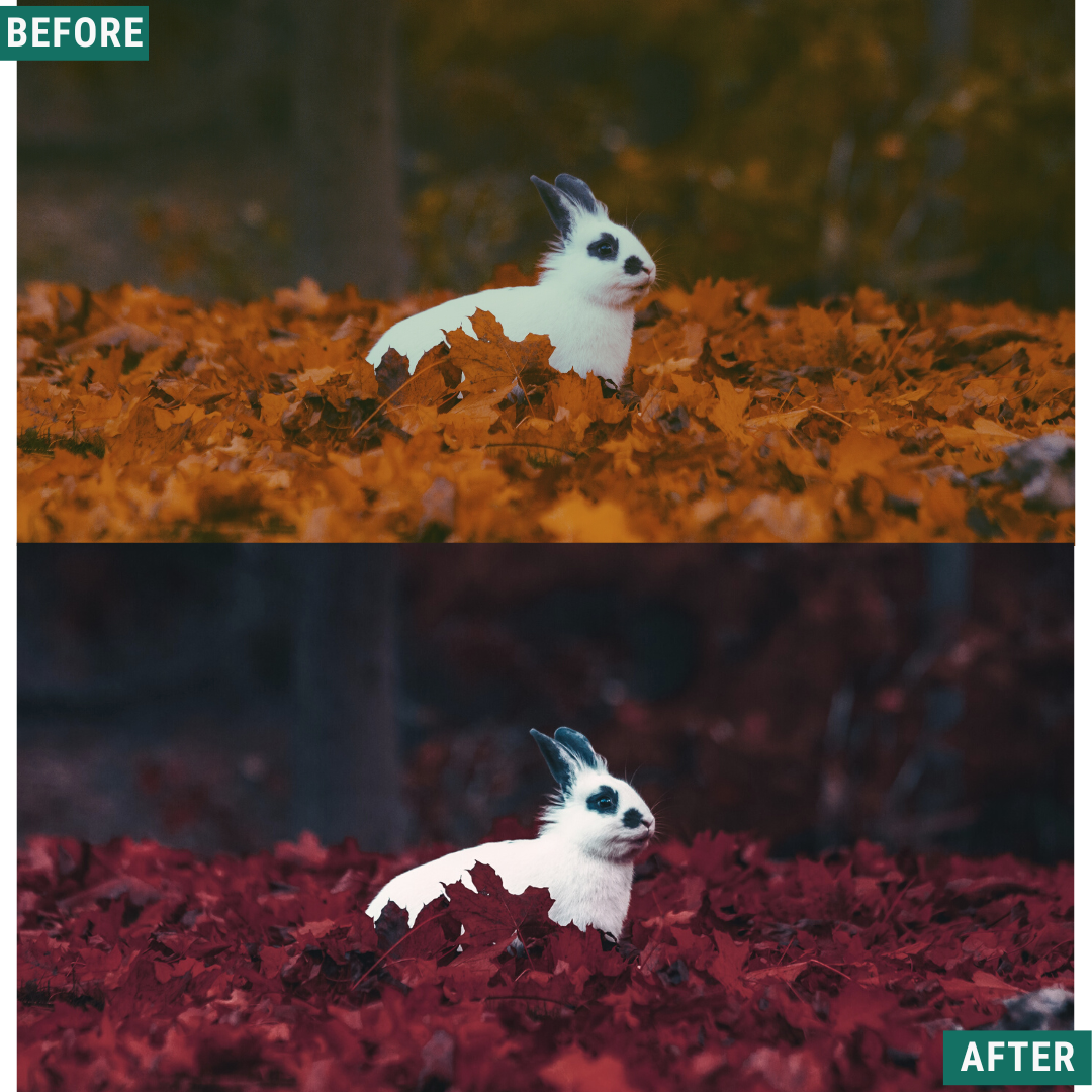 Red Tones LIMITED Capture One & LUT Presets Pack