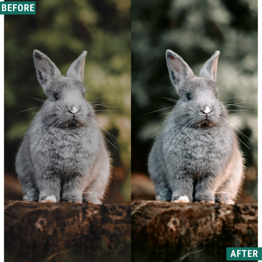 Moody Autumn Capture One & LUT Presets Pack