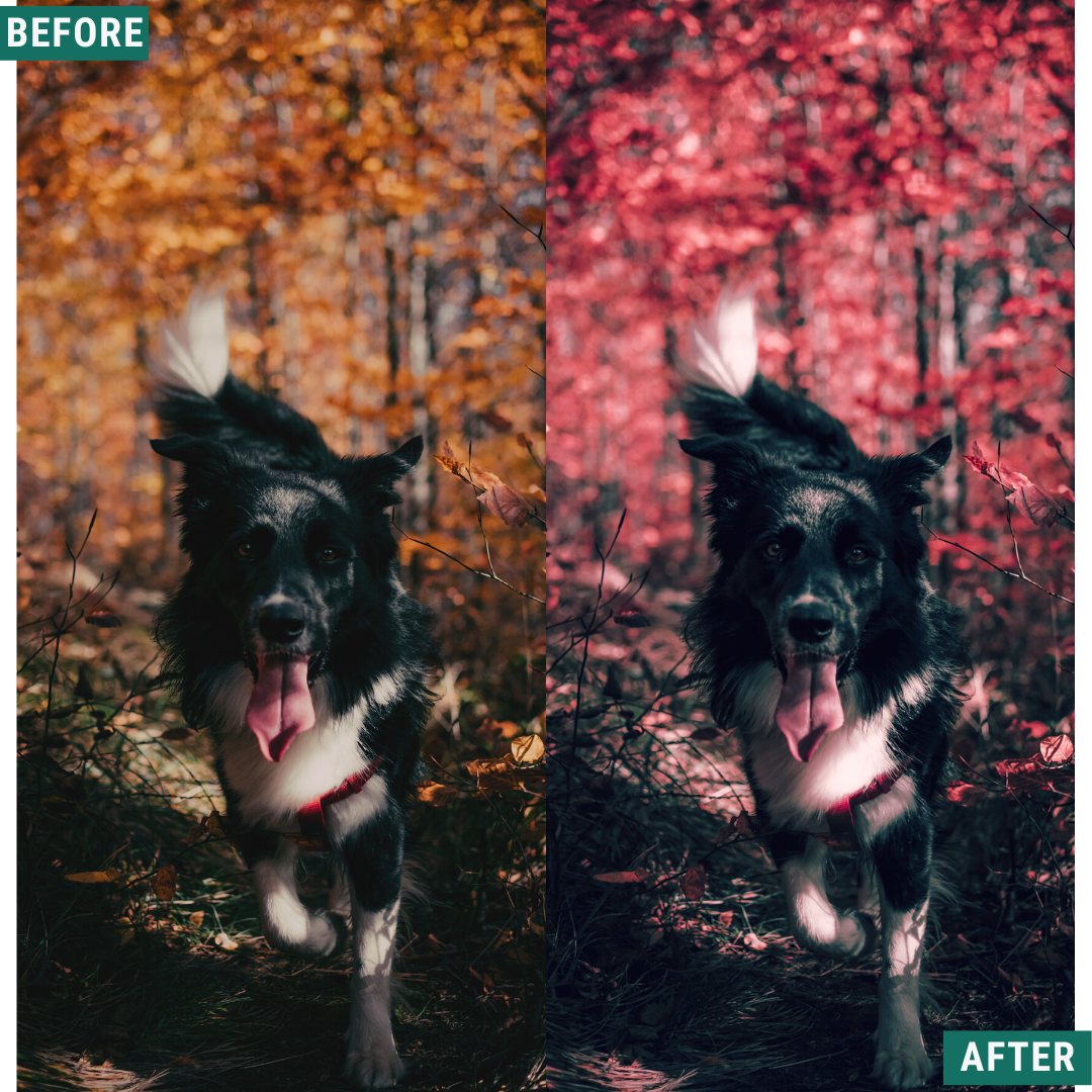 Red Tones LIMITED Lightroom Presets Pack