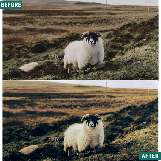 Rustic Green Capture One & LUT Presets Pack
