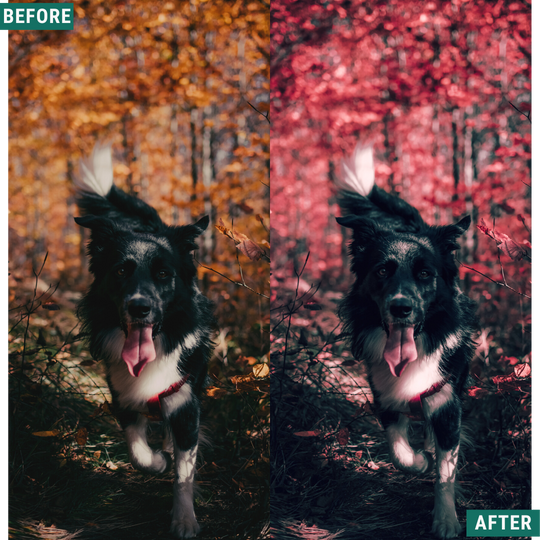 Red Tones LIMITED Capture One & LUT Presets Pack