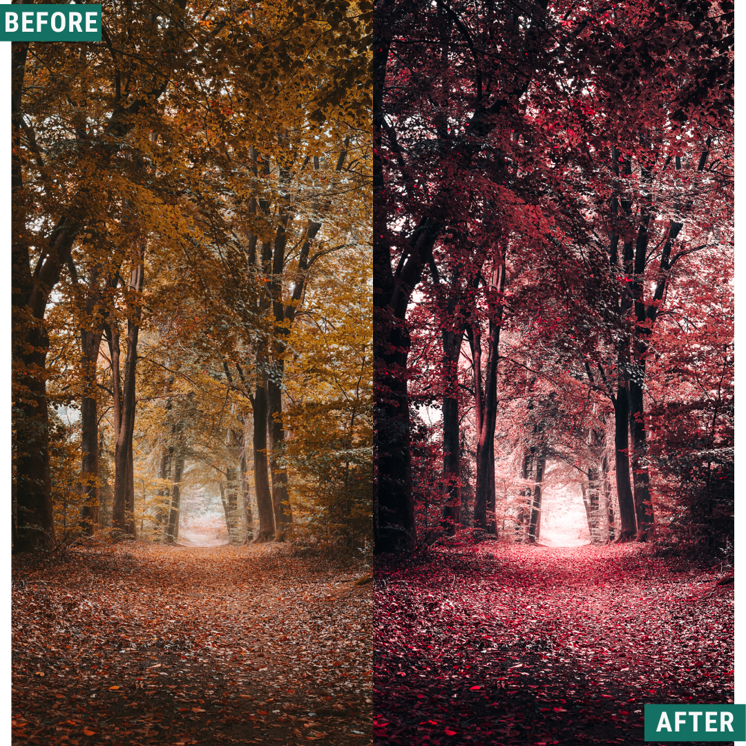 Red Tones LIMITIERTES Capture One & LUT Presets Paket