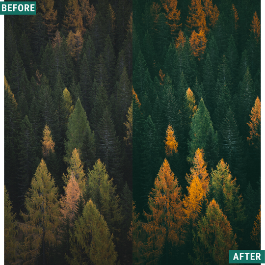 Warm Fall LIMITED Lightroom Presets Pack