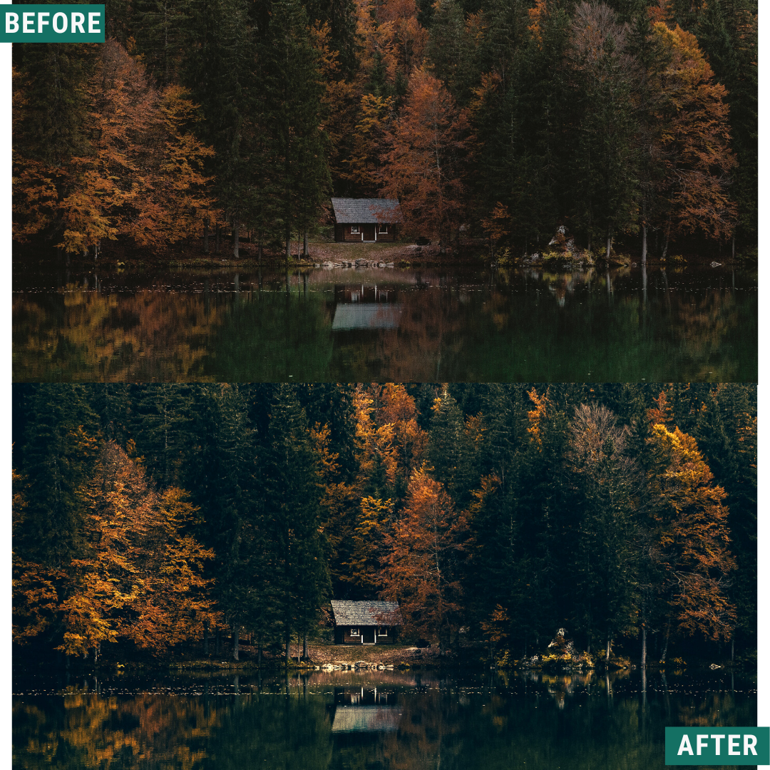 Rustic Green LIMITED Capture One & LUT Presets Pack