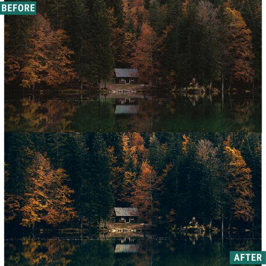 Rustic Green LIMITED Lightroom Presets Pack