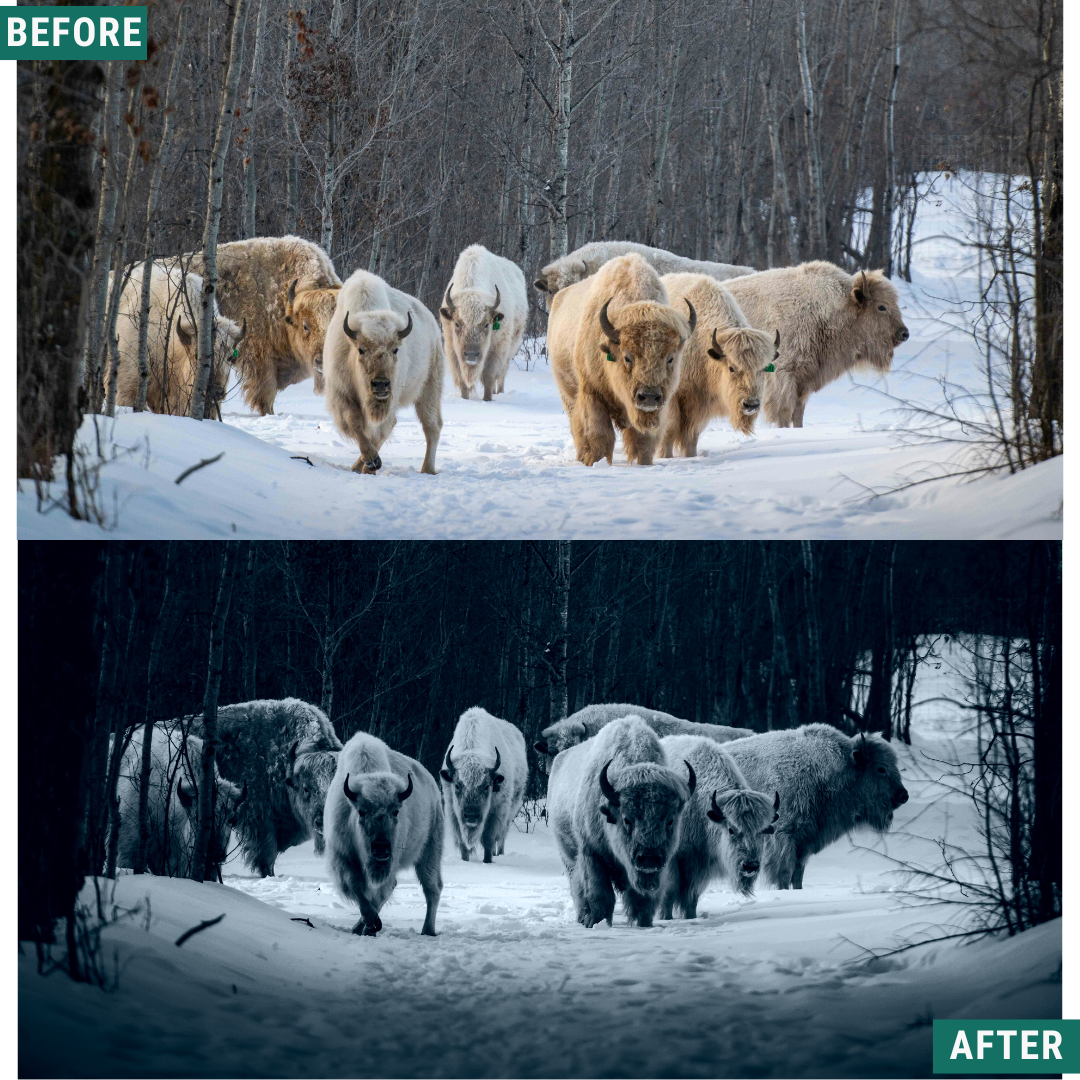 Deep Frost LIMITED Lightroom Presets Pack