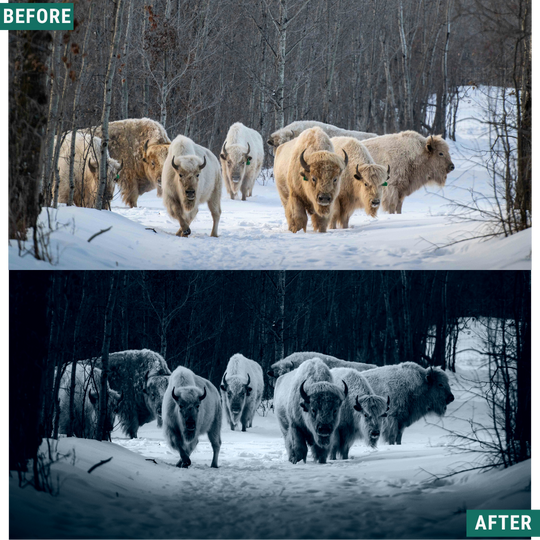 Deep Frost LIMITED Lightroom Presets Pack