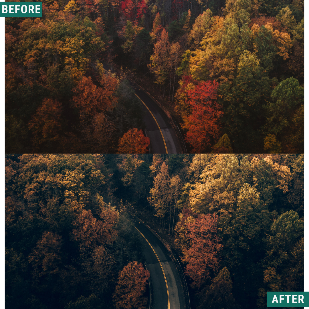 Rustic Green LIMITED Lightroom Presets Pack