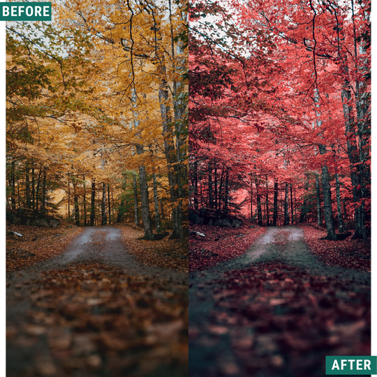 Red Tones LIMITED Capture One & LUT Presets Pack