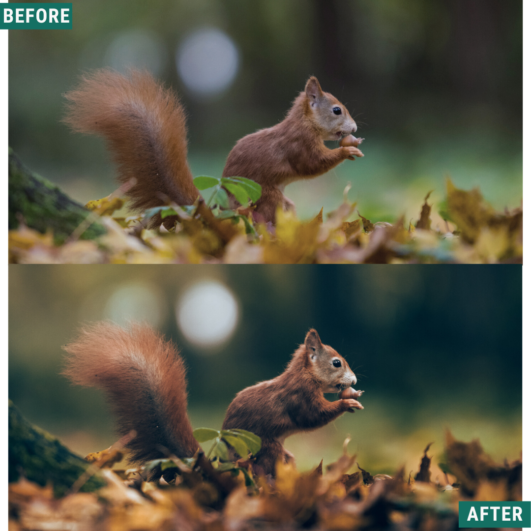Rustic Green Capture One & LUT Presets Pack
