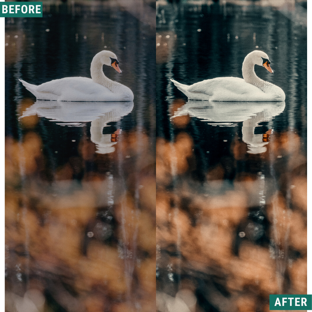 Moody Autumn Capture One & LUT Presets Pack