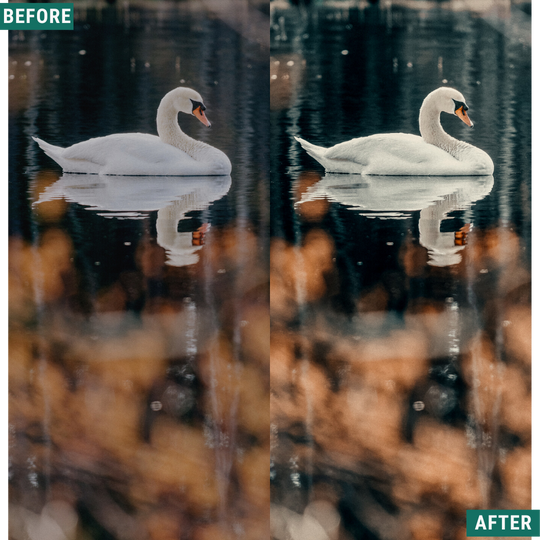 Moody Autumn Capture One & LUT Presets Pack