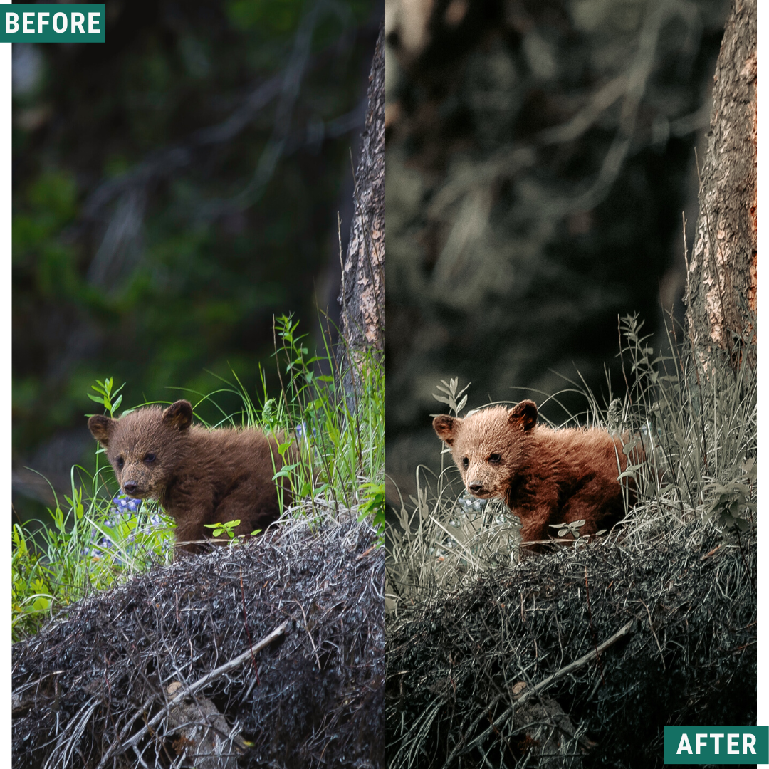 Moody Autumn Lightroom Presets Pack