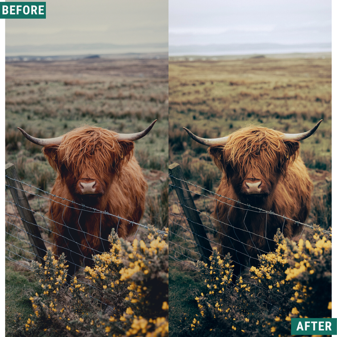 Rustic Green Capture One & LUT Presets Pack