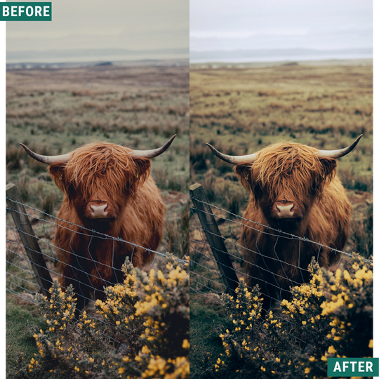 Rustic Green Capture One & LUT Presets Pack