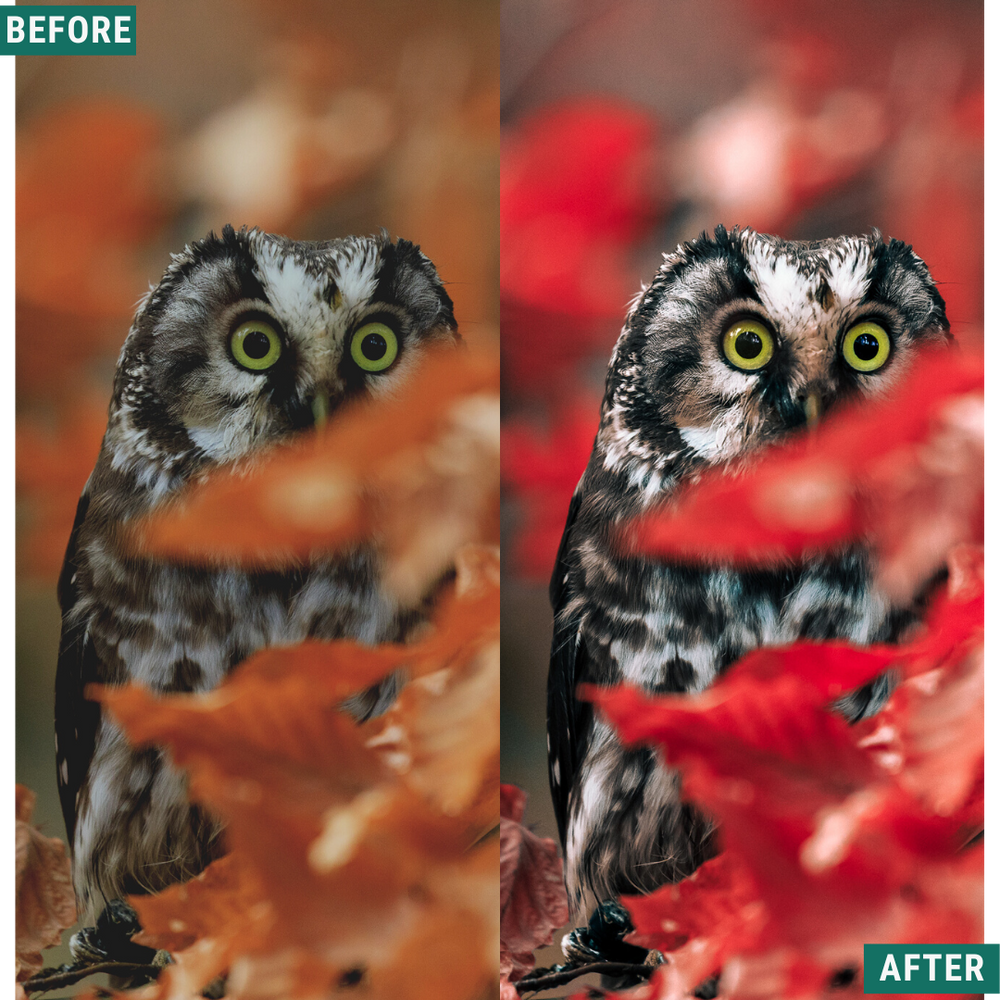 Red Tones LIMITED Capture One & LUT Presets Pack
